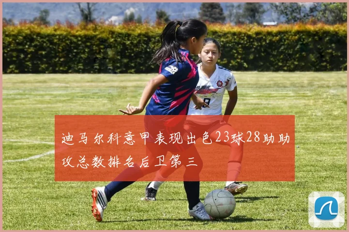 迪马尔科意甲表现出色23球28助助攻总数排名后卫第三